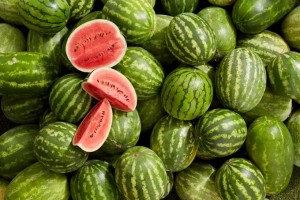 I am a Watermelon Seller