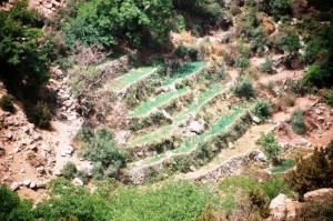 Ourika Valley in the heart of the Atlas Mountains of Morocco