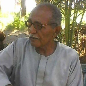 ربيع الأسواني