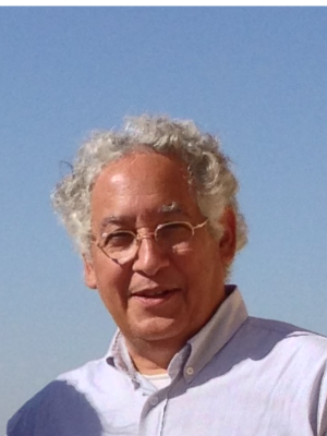 عمرو شعراوي