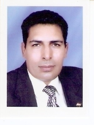 حسن صادق محمد مرسى هيكل