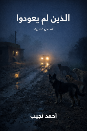 الذين لم يعودوا