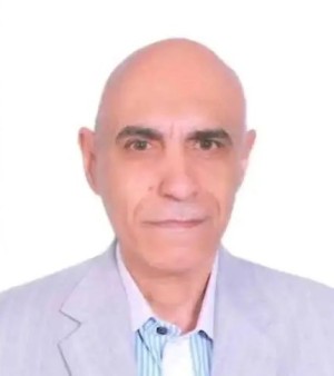 مجدى محمد محمد عامر