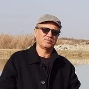 أمير ناصر