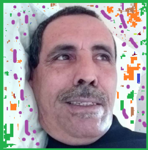 Ali Abdous