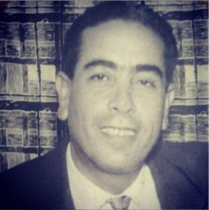 Mahmoud Elkamshoushy