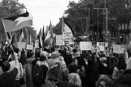 Pro Palestine Protest