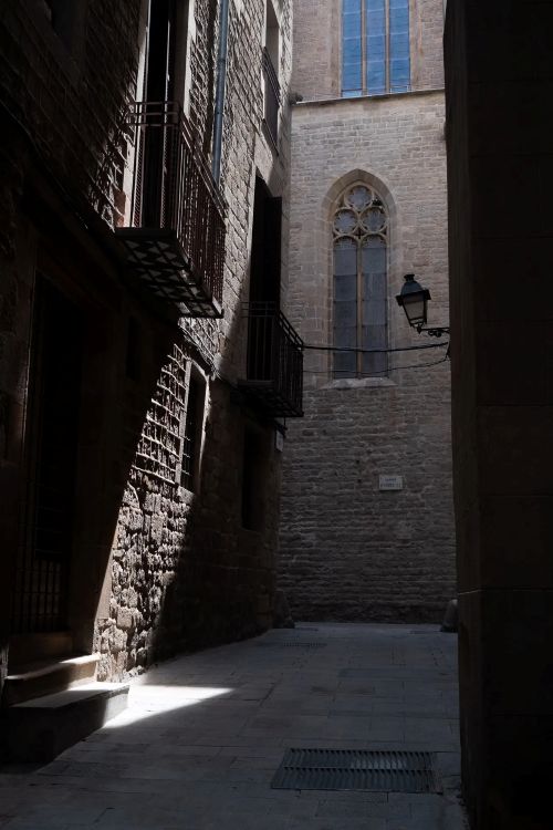 finding beauty in the mundane